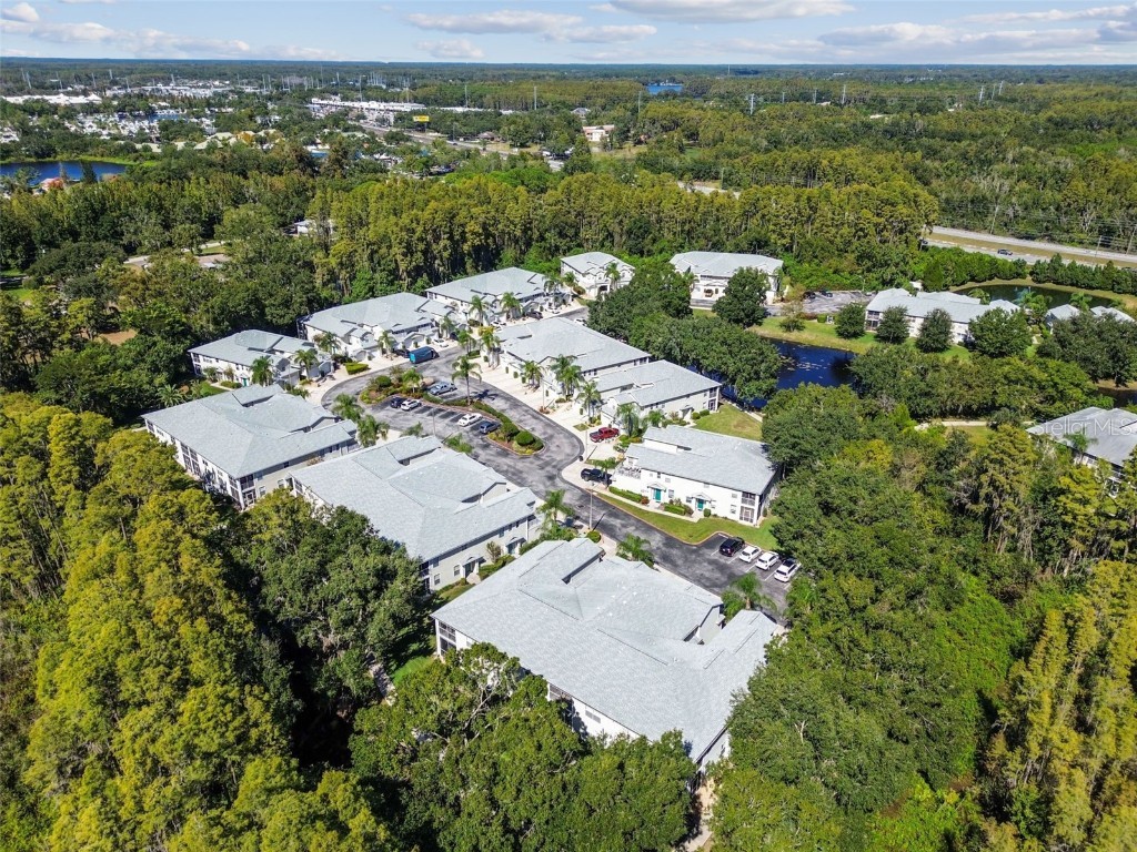 1627 Hammocks Avenue Lutz FL 33549 TB8440737 image43