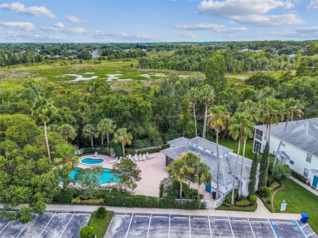 1627 Hammocks Avenue Lutz FL 33549 TB8440737 image48