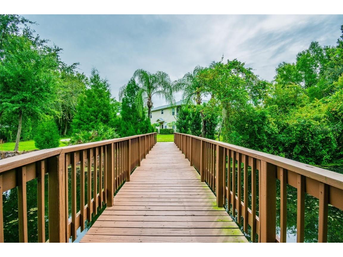 1627 Hammocks Avenue Lutz FL 33549 TB8440737 image51