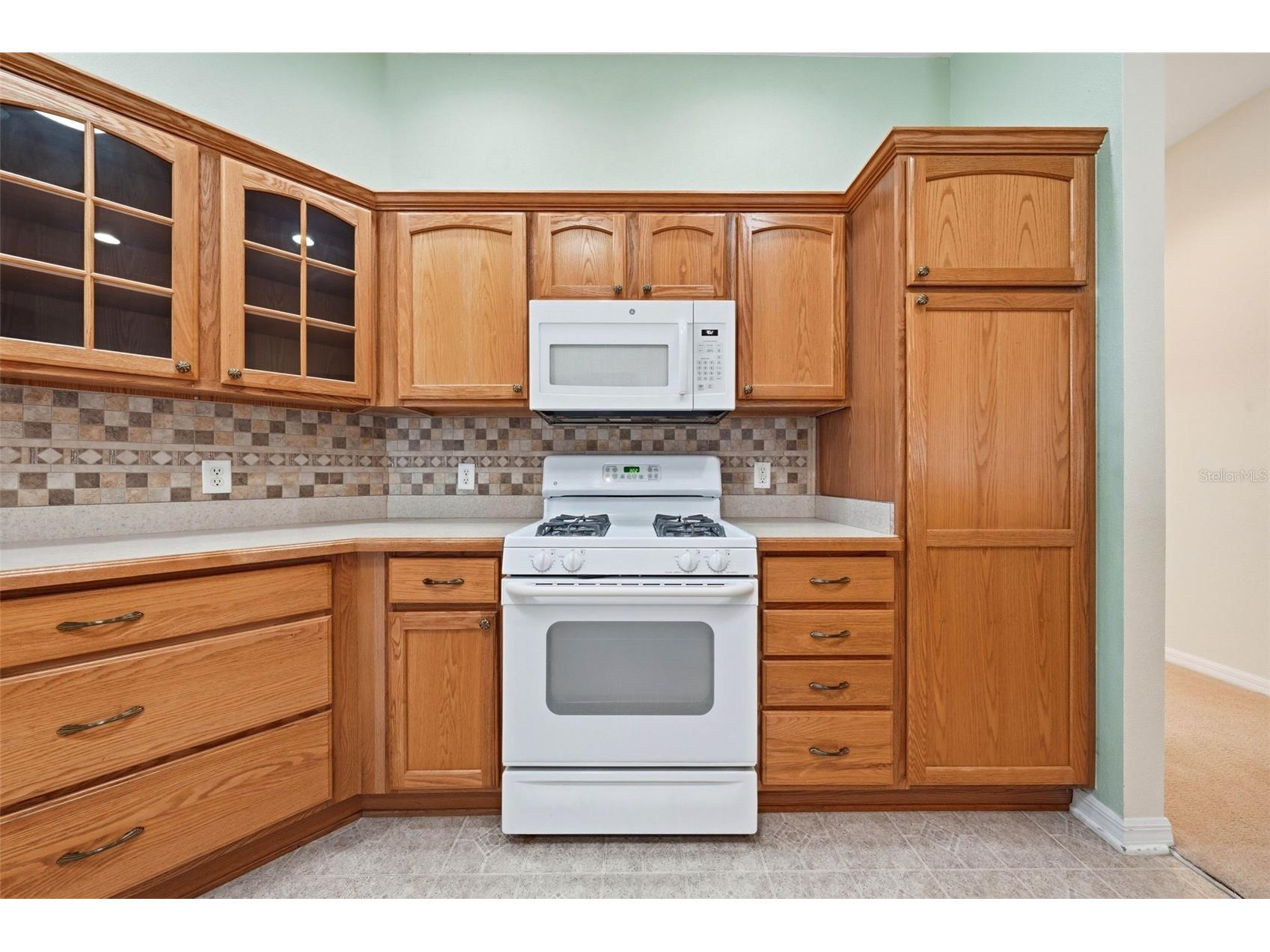 1627 Kensington Place The Villages FL 32162 G5111464 image10