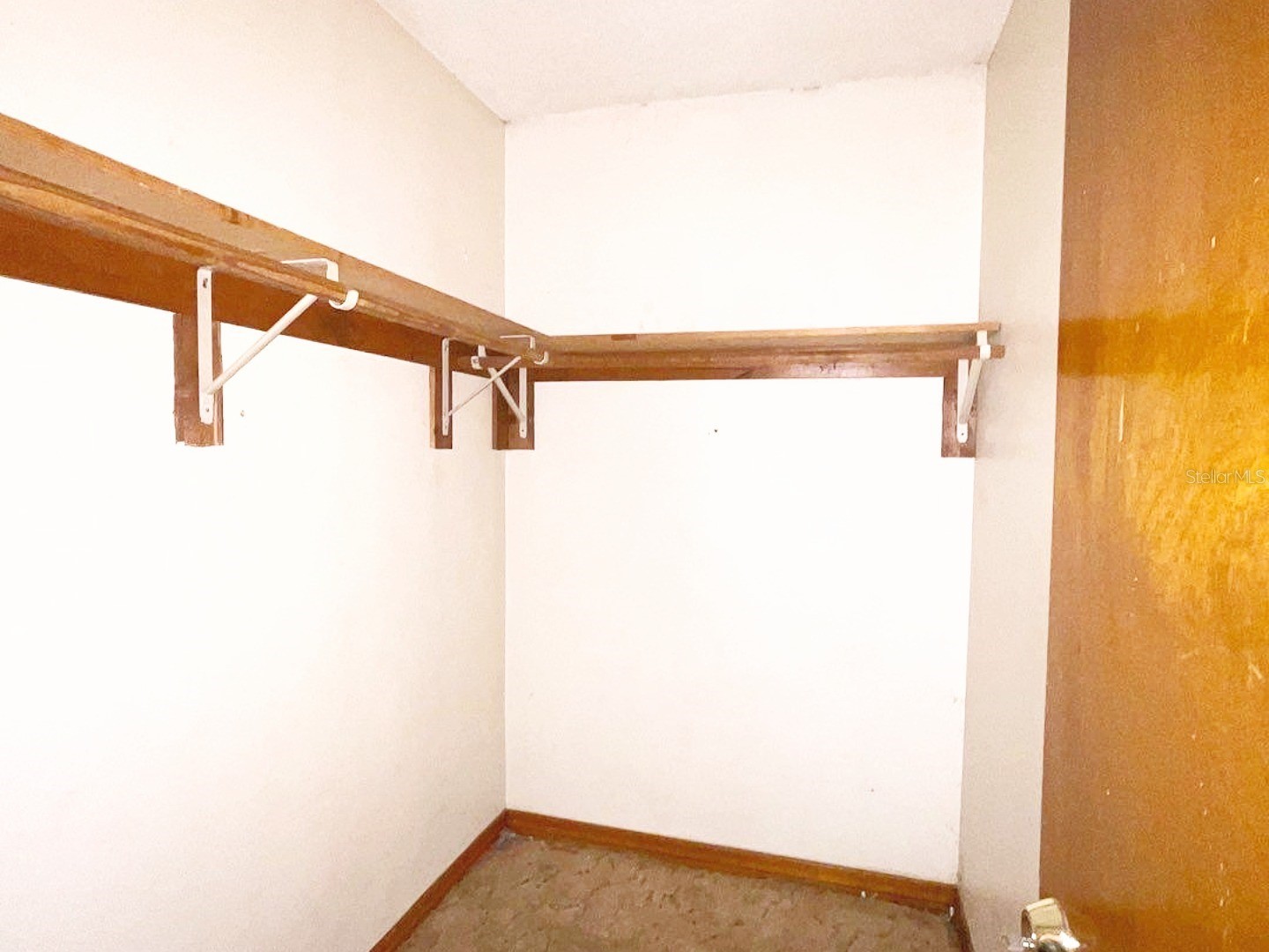 1627 Saxon Boulevard Deltona FL 32725 O6404918 image13