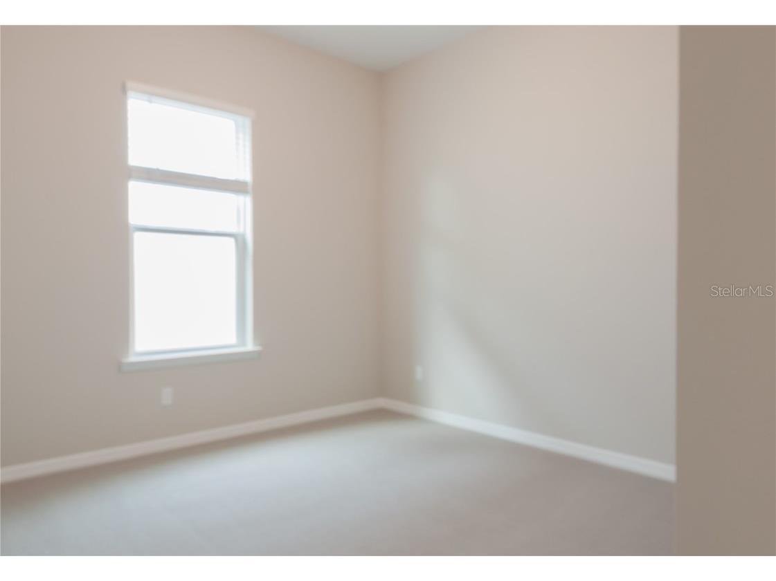 16271 Silver Grove Blvd Winter Garden FL 34787 O6299810 image18