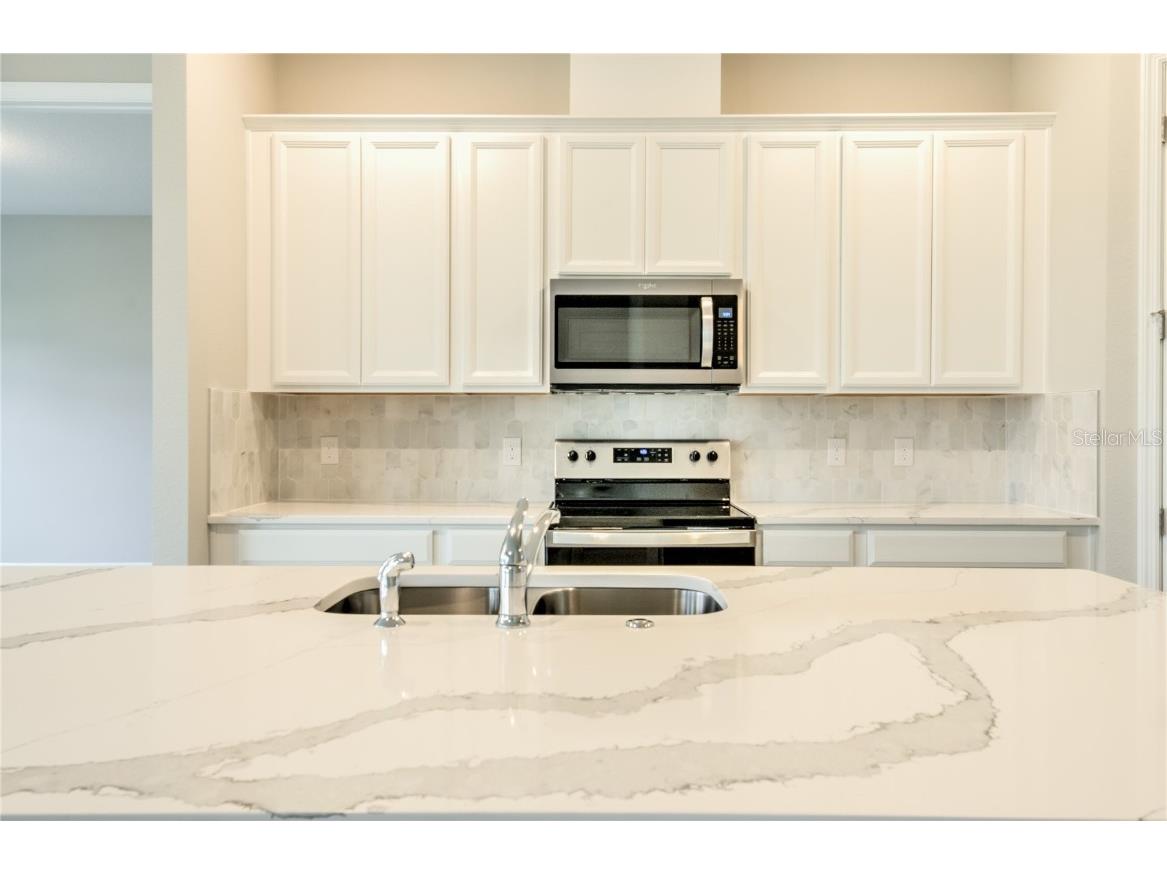 16271 Silver Grove Blvd Winter Garden FL 34787 O6299810 image27