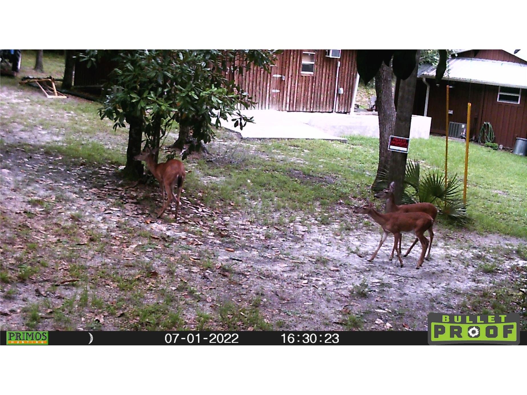 16274 NE 153rd Lane Fort Mc Coy FL 32134 OM725452 image69