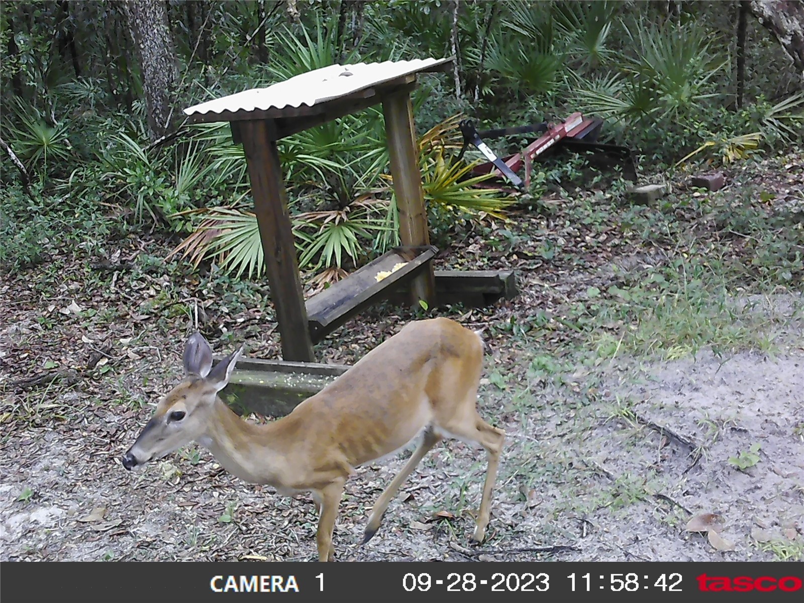 16274 NE 153rd Lane Fort Mc Coy FL 32134 OM725452 image70