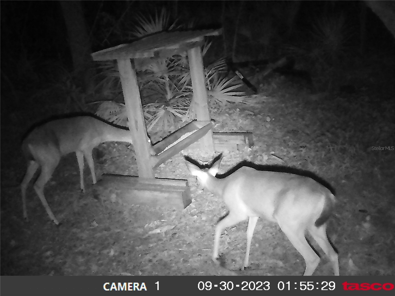 16274 NE 153rd Lane Fort Mc Coy FL 32134 OM725452 image71