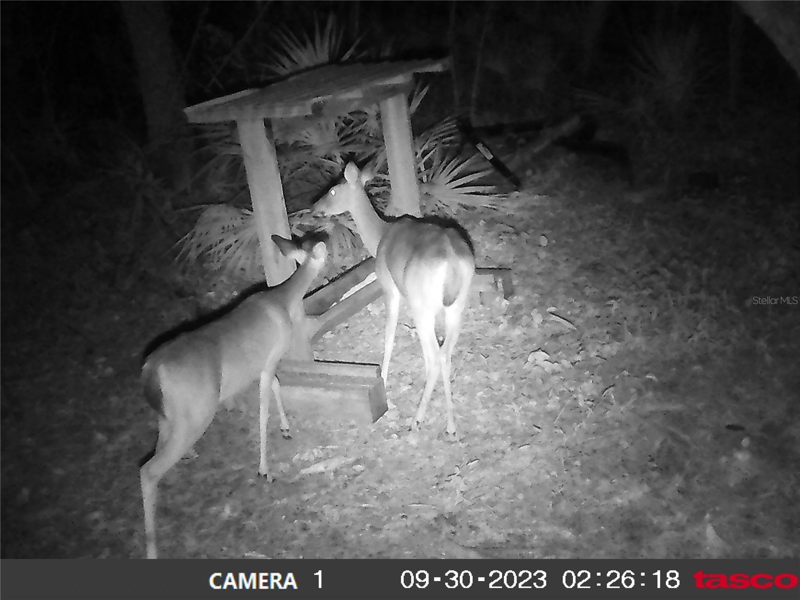 16274 NE 153rd Lane Fort Mc Coy FL 32134 OM725452 image72