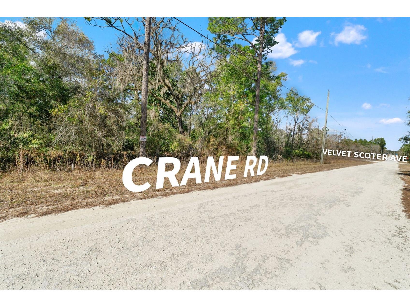 16275 Crane Road Weeki Wachee FL 34614 TB8469587 image1