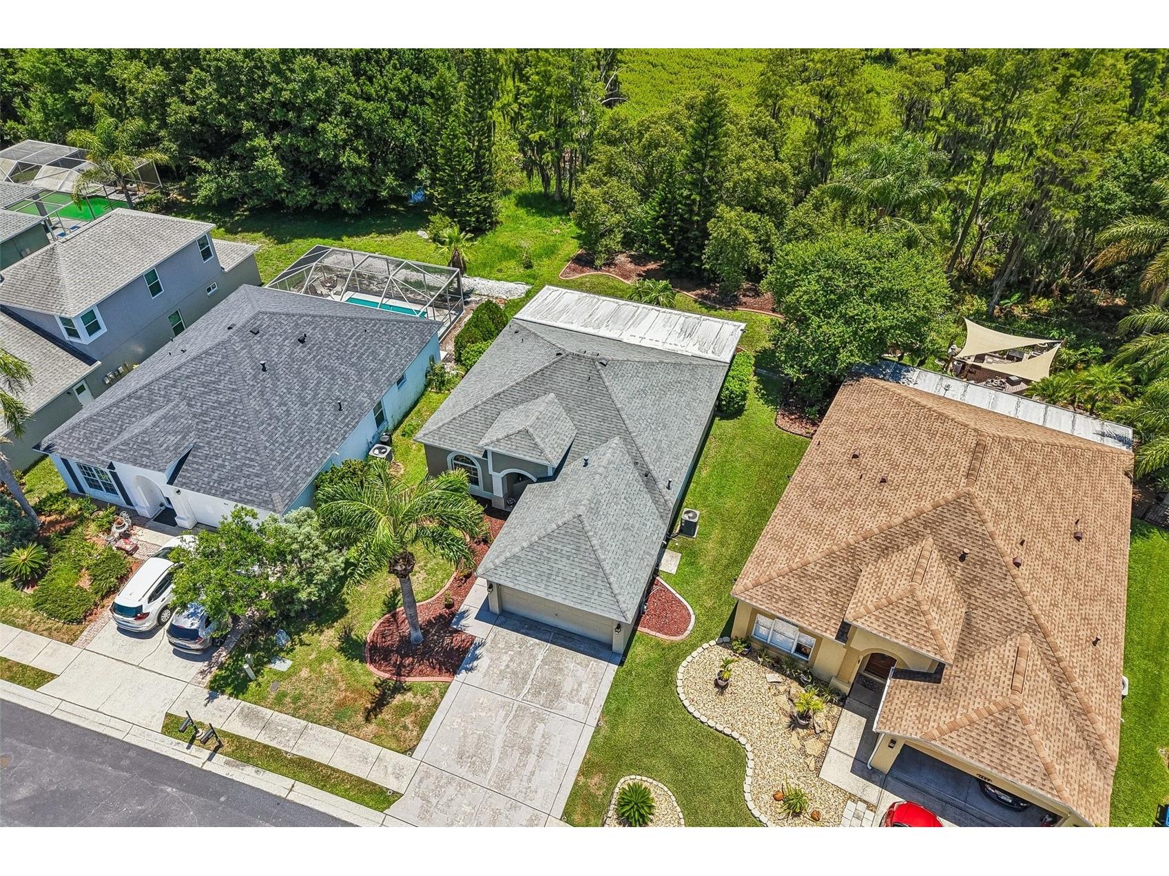 1628 Crossvine Court Trinity FL 34655 TB8519052 image54