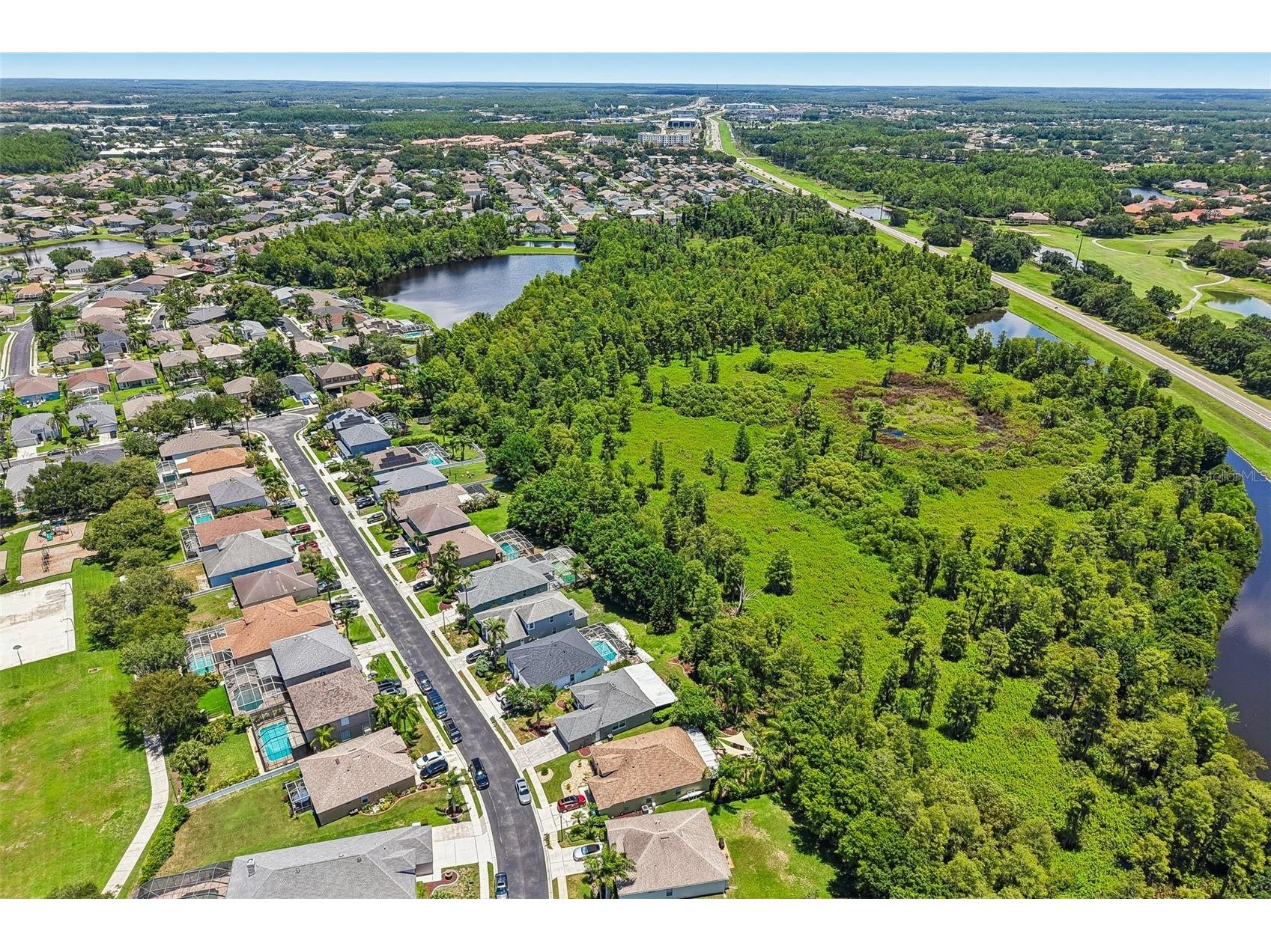 1628 Crossvine Court Trinity FL 34655 TB8519052 image57