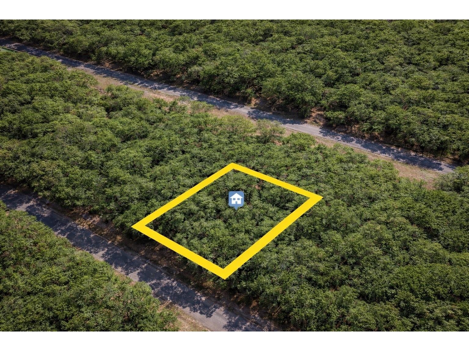 1628 E Badger Drive Dunnellon FL 34434 W7882283 image1