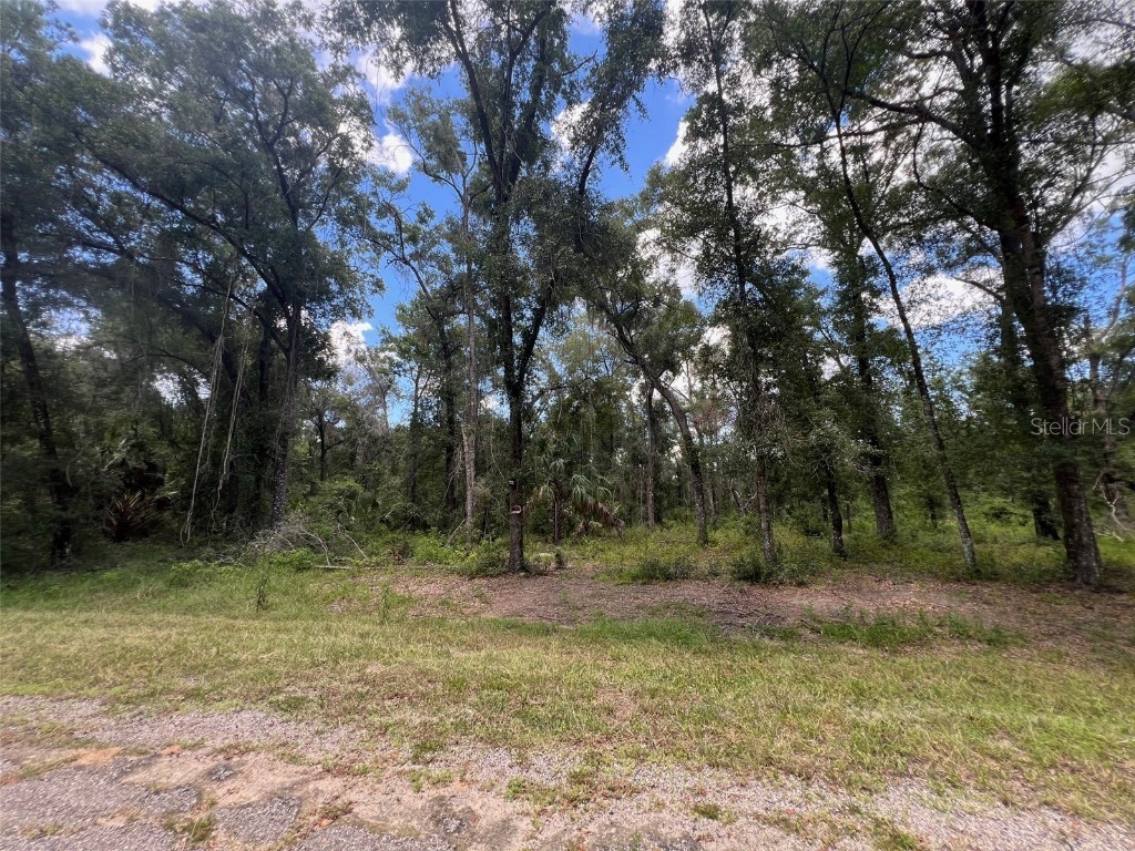 1628 E Derby Drive Dunnellon FL 34434 OM709706 image1