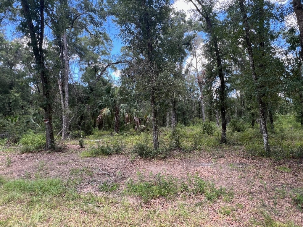 1628 E Derby Drive Dunnellon FL 34434 OM709706 image2