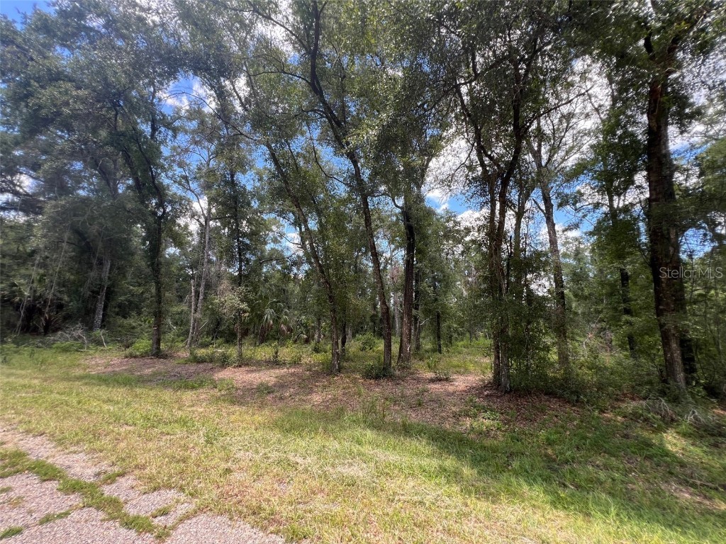 1628 E Derby Drive Dunnellon FL 34434 OM709706 image4