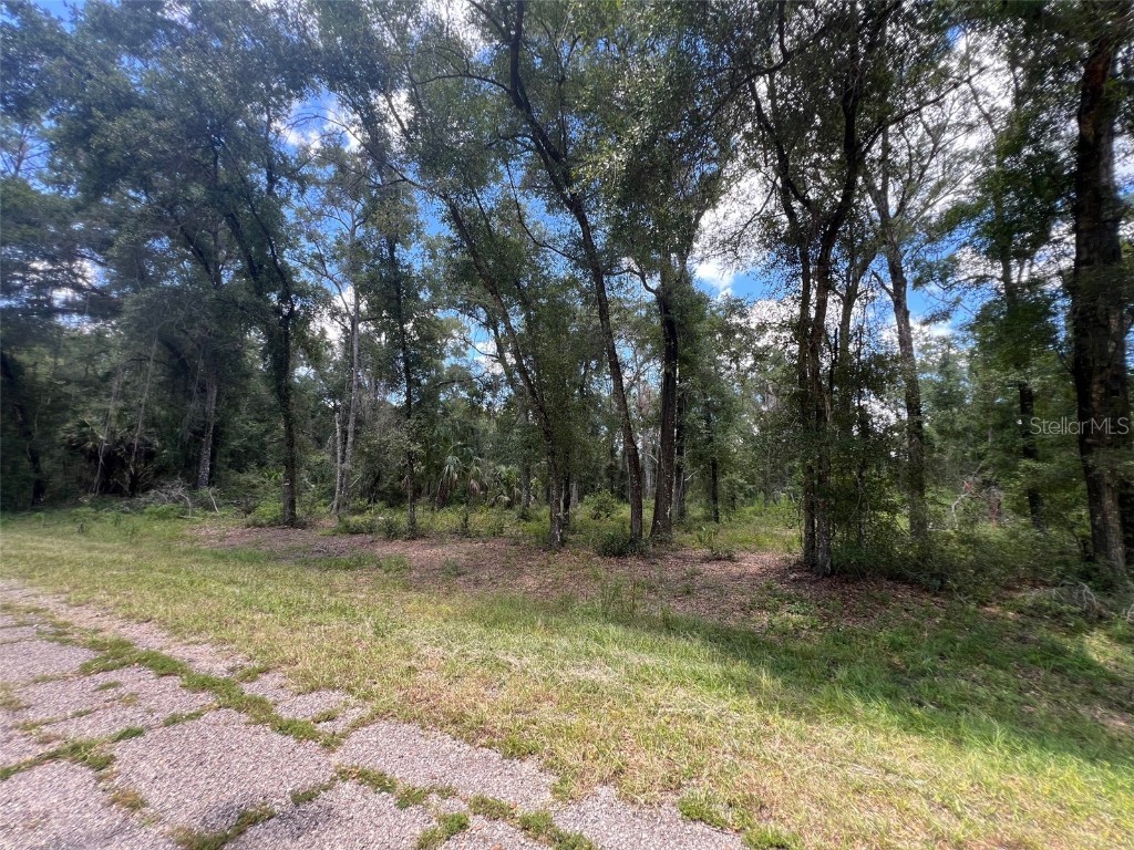 1628 E Derby Drive Dunnellon FL 34434 OM709706 image5