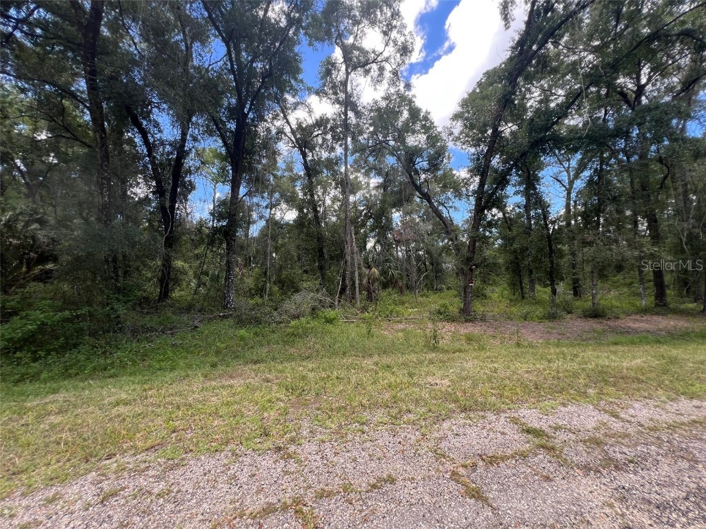 1628 E Derby Drive Dunnellon FL 34434 OM709706 image6