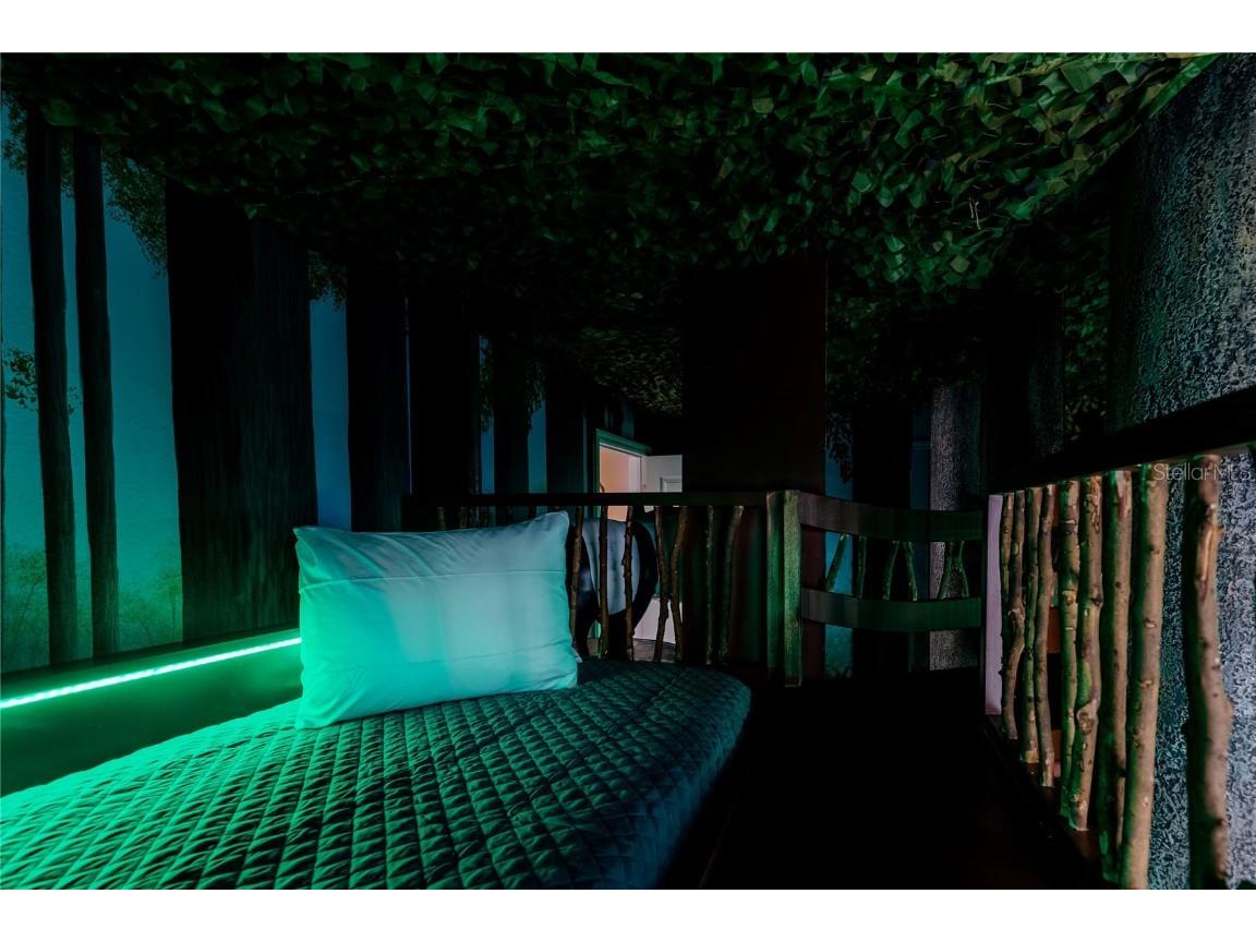 1628 Nassau Point Trail Kissimmee FL 34747 S5139275 image62