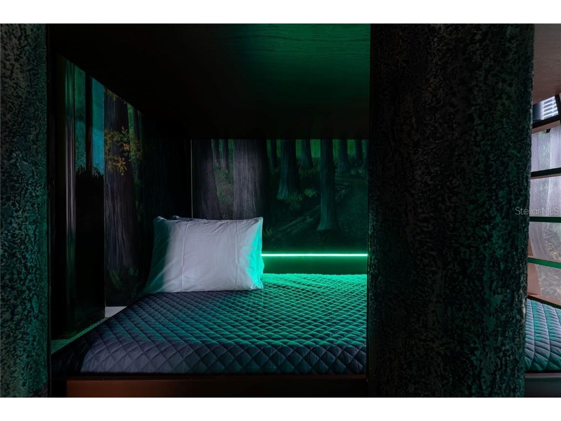 1628 Nassau Point Trail Kissimmee FL 34747 S5139275 image64