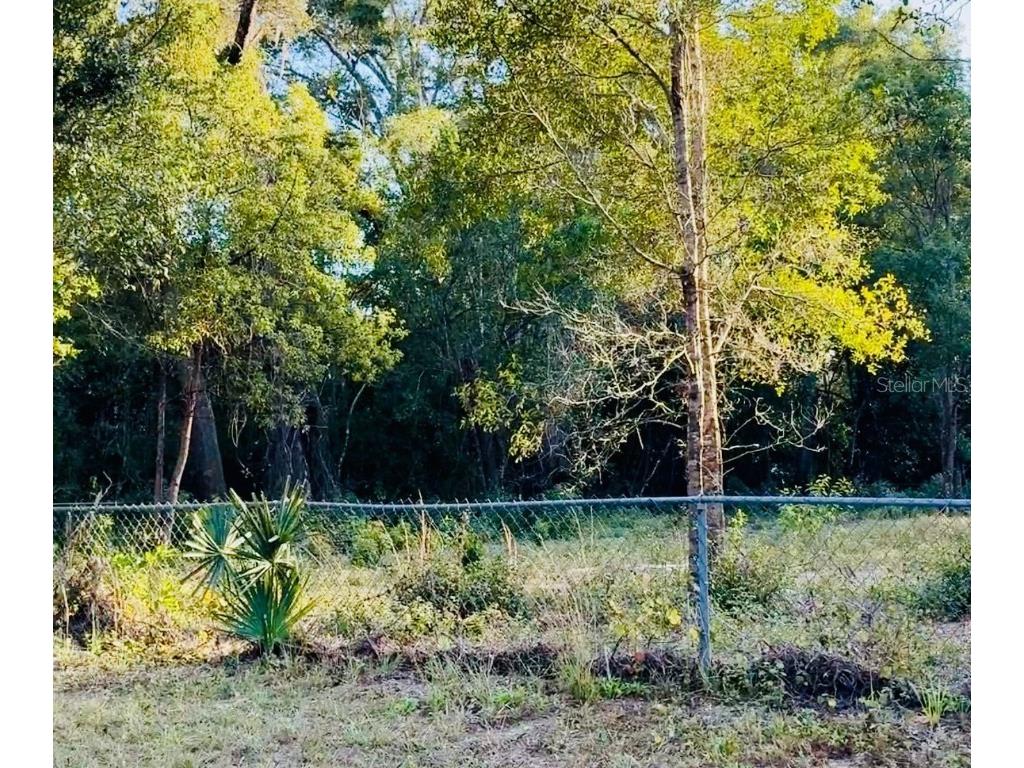 16280 Palacky Street Brooksville FL 34604 TB8457984 image2