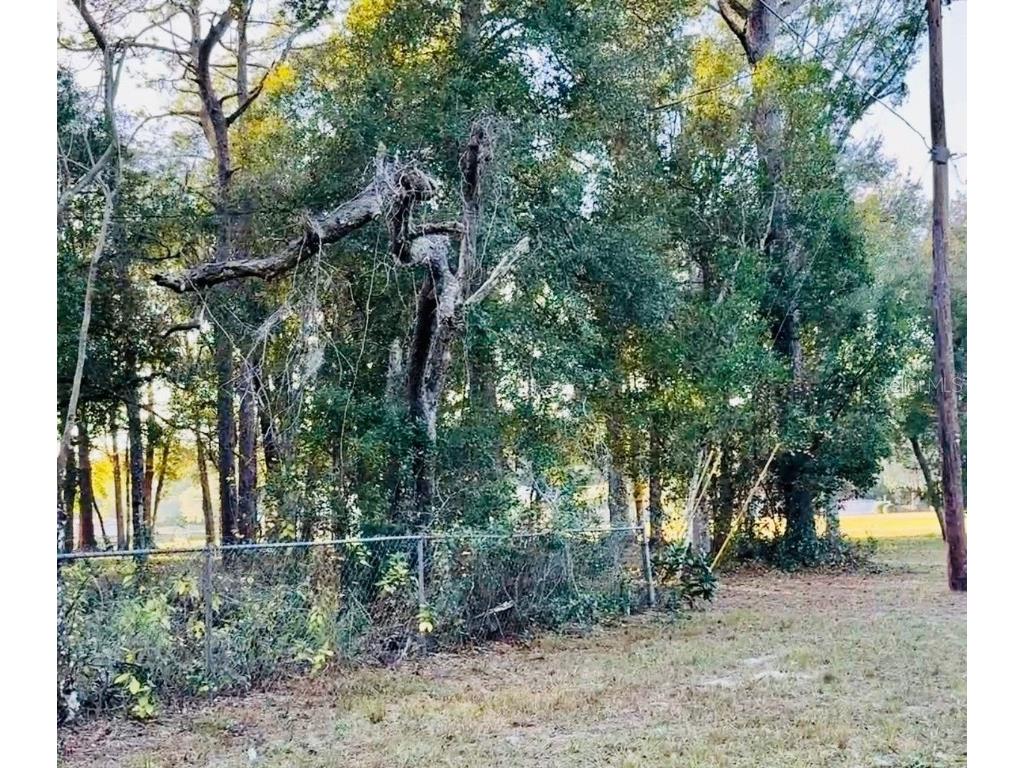 16280 Palacky Street Brooksville FL 34604 TB8457984 image3