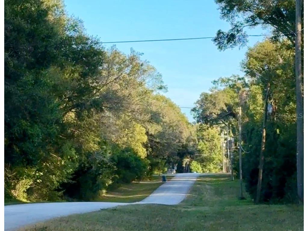 16280 Palacky Street Brooksville FL 34604 TB8457984 image5