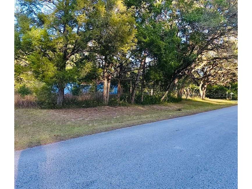 16280 Palacky Street Brooksville FL 34604 TB8457984 image8