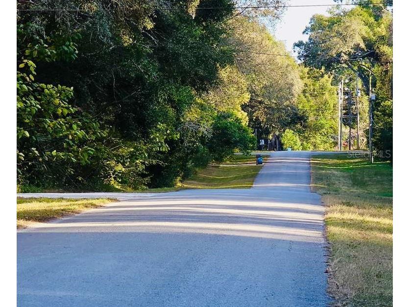 16280 Palacky Street Brooksville FL 34604 TB8457984 image9