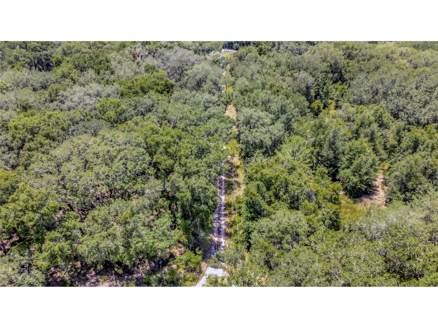 16280 SE 172nd Place Weirsdale FL 32195 OM728349 image18