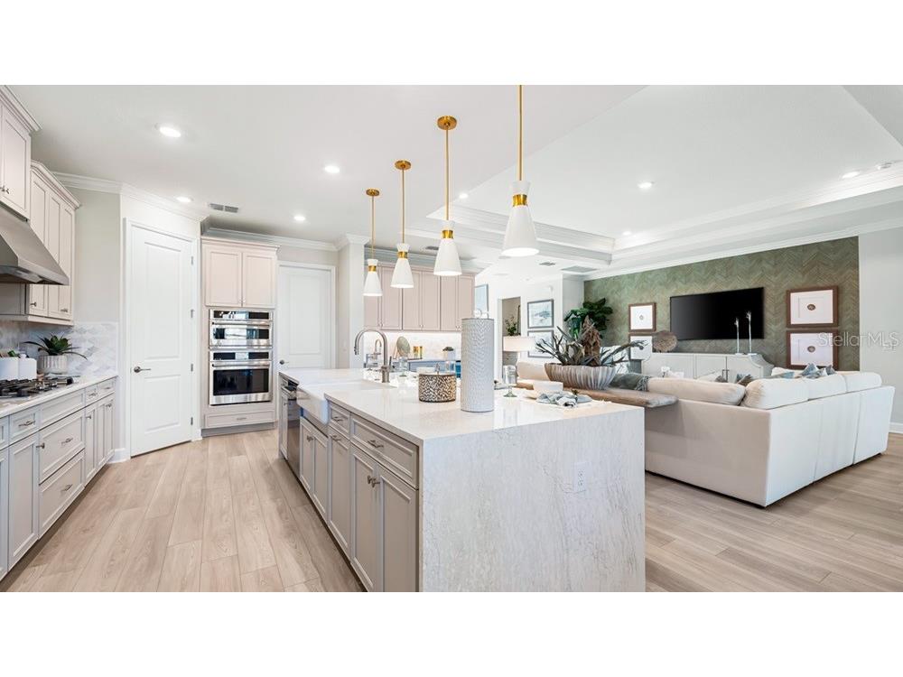 16286 Alpha Grove Place Odessa FL 33556 TB8494853 image10