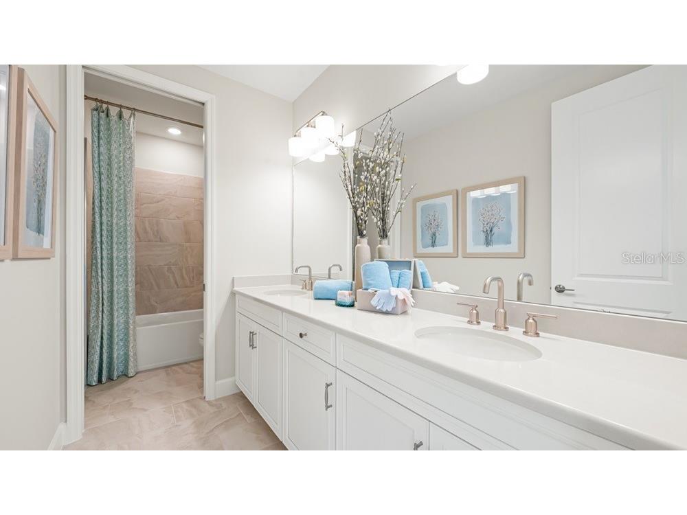 16286 Alpha Grove Place Odessa FL 33556 TB8494853 image21