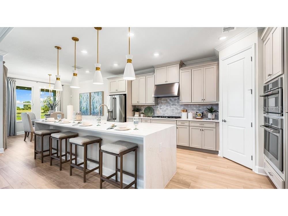 16286 Alpha Grove Place Odessa FL 33556 TB8494853 image9