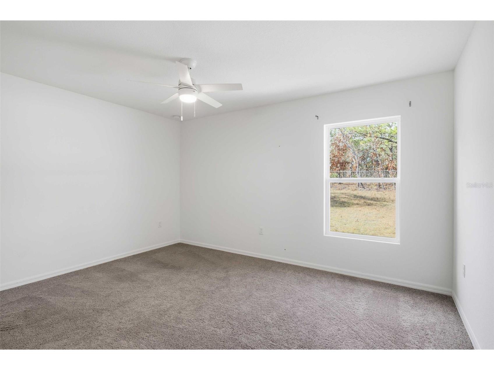 16287 Little Auk Road Weeki Wachee FL 34614 TB8460491 image32