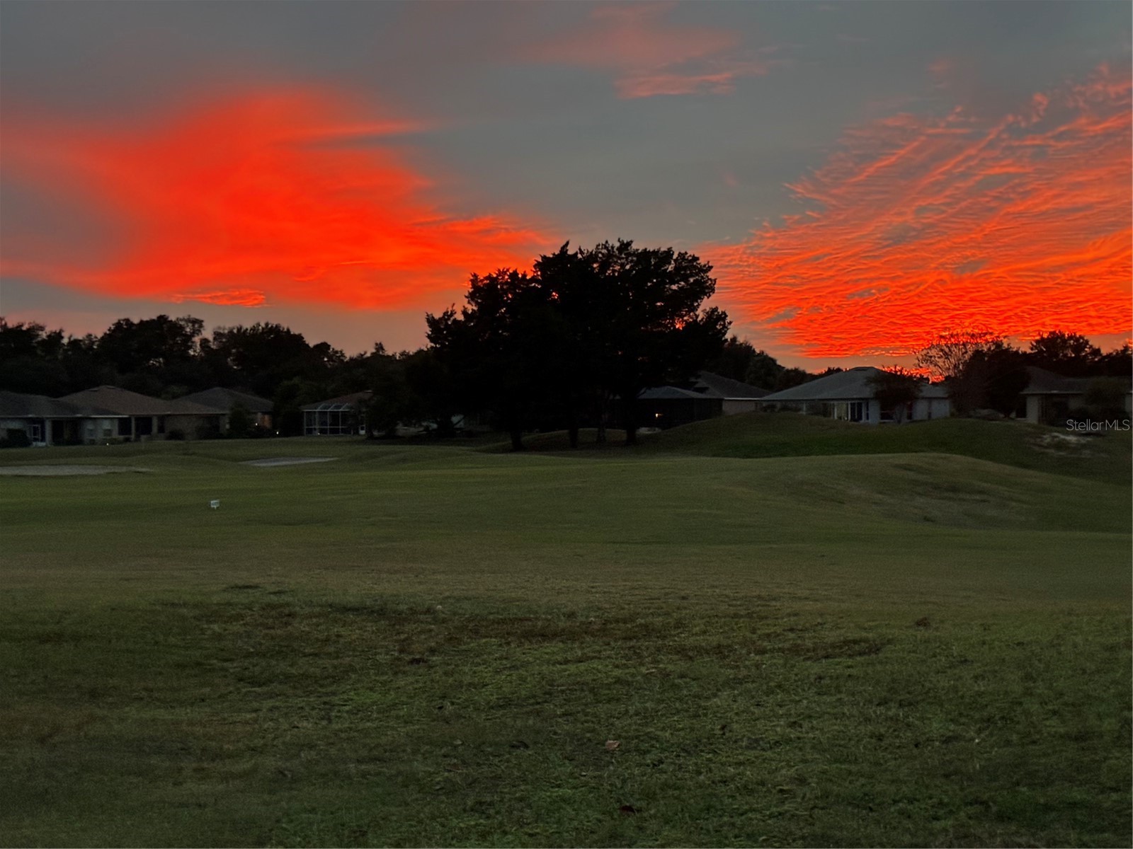 16288 SW 14th Avenue Road Ocala FL 34473 OM715859 image2