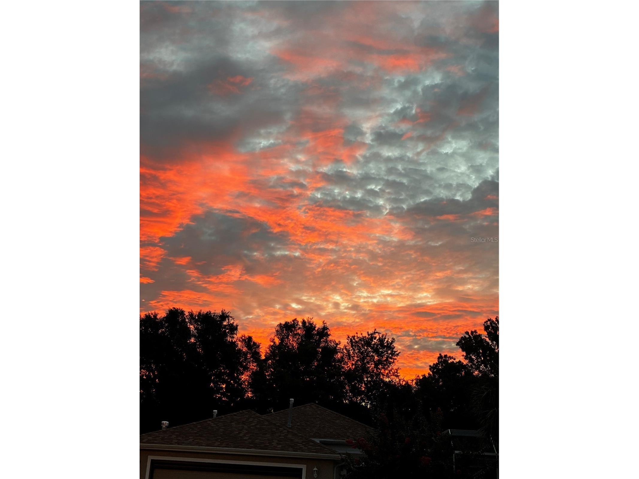 16288 SW 14th Avenue Road Ocala FL 34473 OM715859 image29