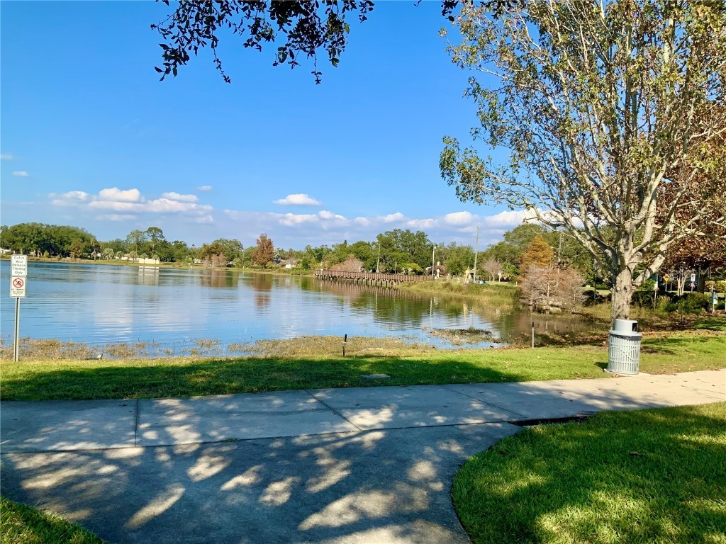 1629 Dartmouth Street Clearwater FL 33755 O6362643 image20