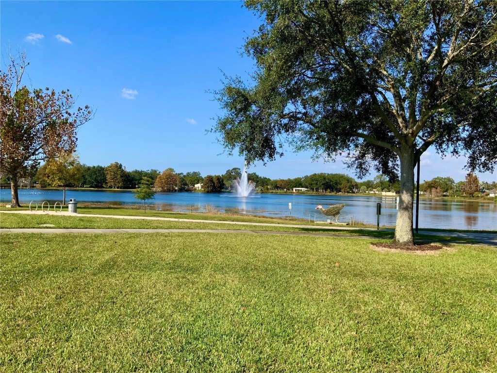 1629 Dartmouth Street Clearwater FL 33755 O6362643 image21