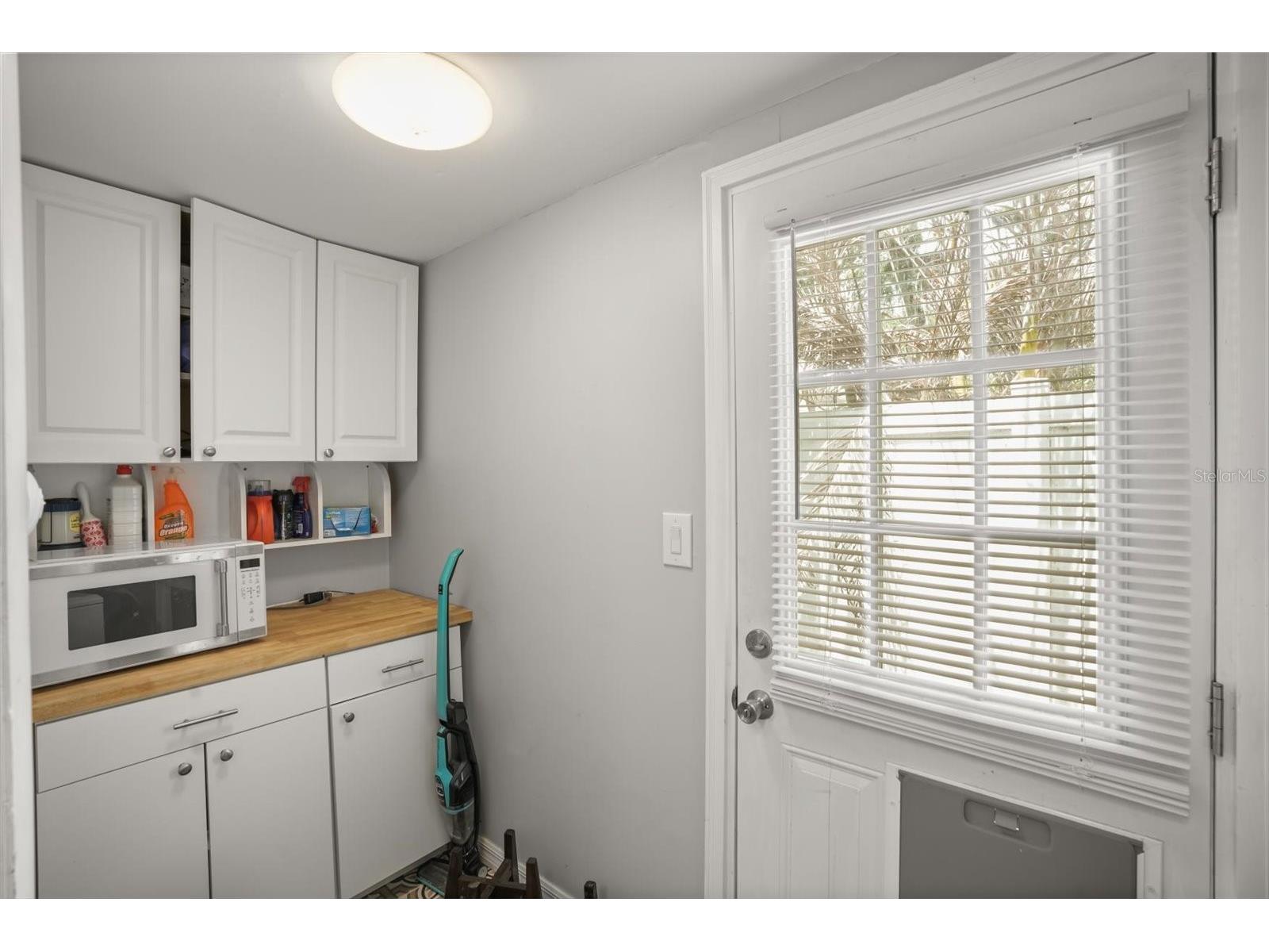1629 Ferris Avenue Orlando FL 32803 O6404133 image18