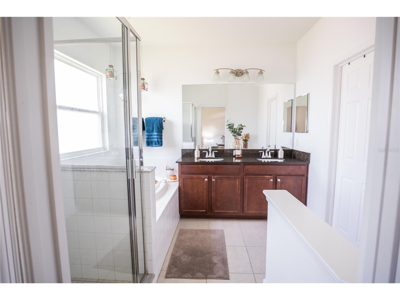 1629 Montgomery Bell Road Wesley Chapel FL 33543 S5151520 image31