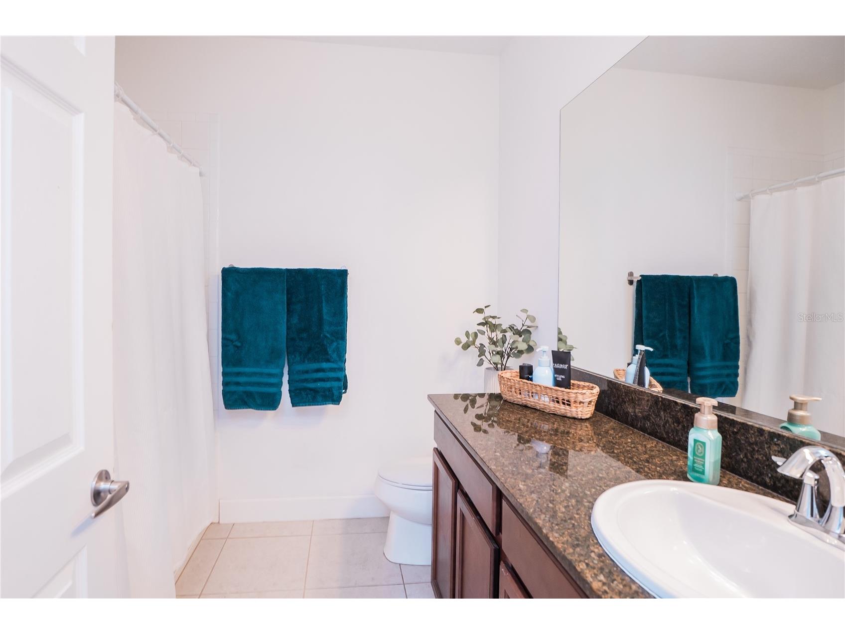 1629 Montgomery Bell Road Wesley Chapel FL 33543 S5151520 image39