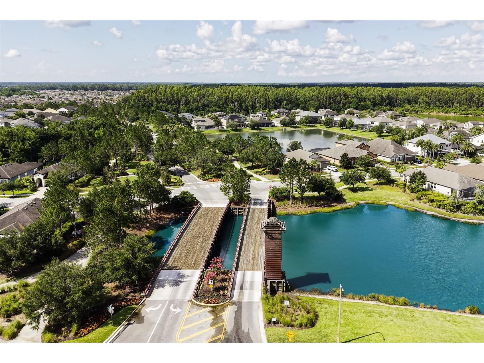 1629 Montgomery Bell Road Wesley Chapel FL 33543 S5151520 image5