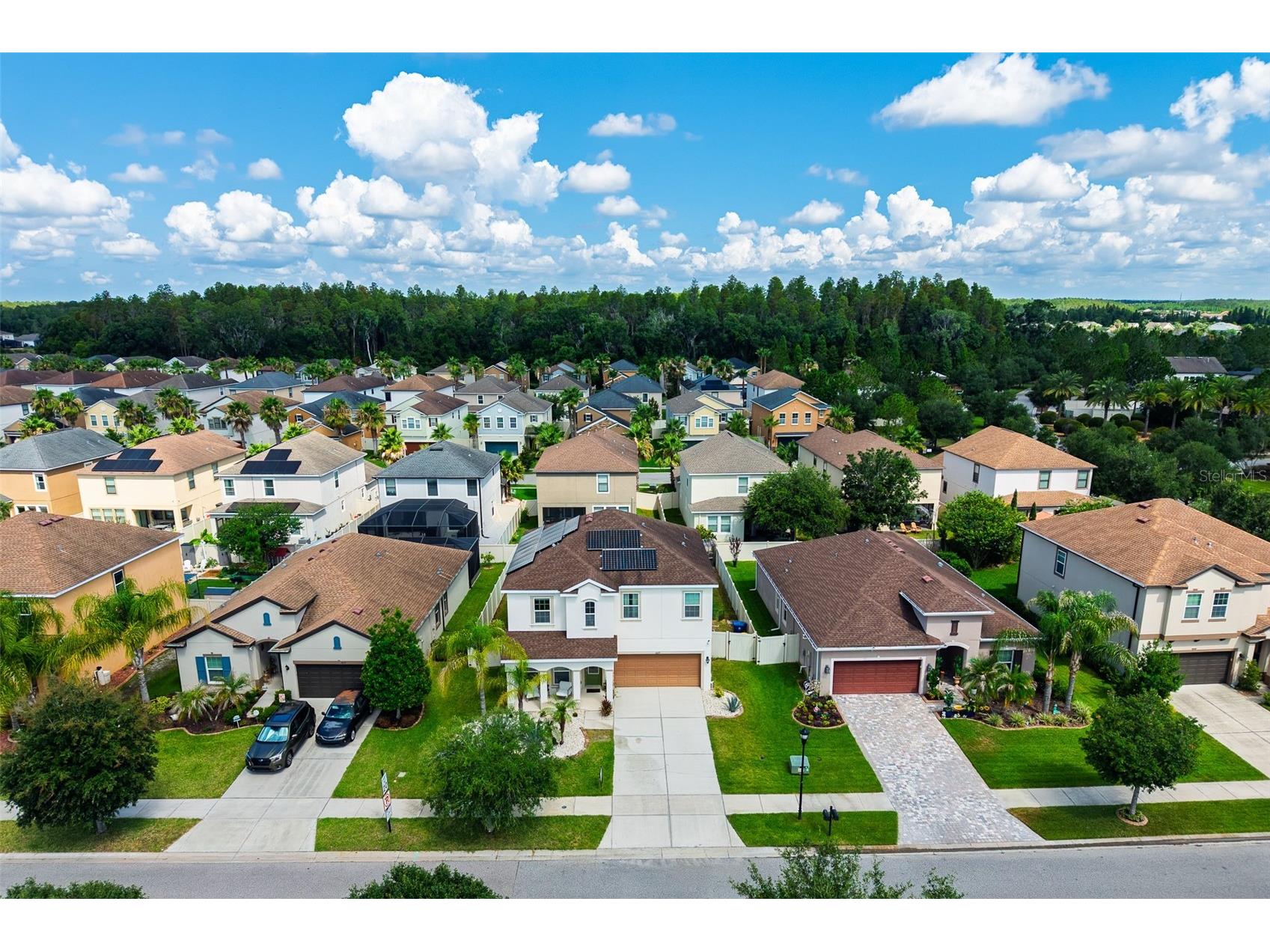 1629 Montgomery Bell Road Wesley Chapel FL 33543 S5151520 image53
