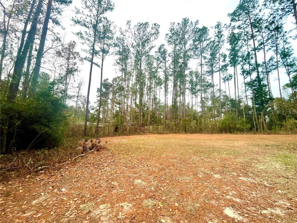 16290 NW 141 Street Alachua FL 32615 GC527471 image1