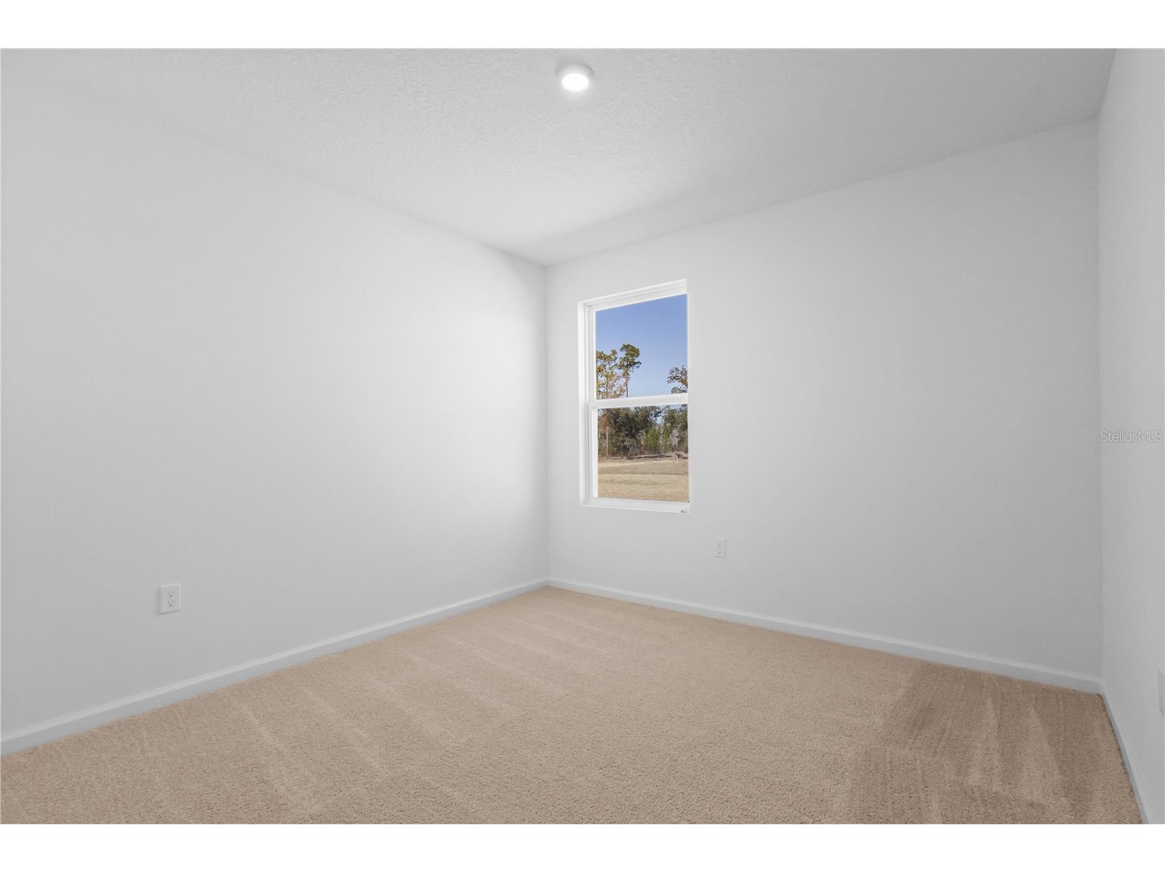 16294 NW 143rd Way Alachua FL 32615 C7526184 image19