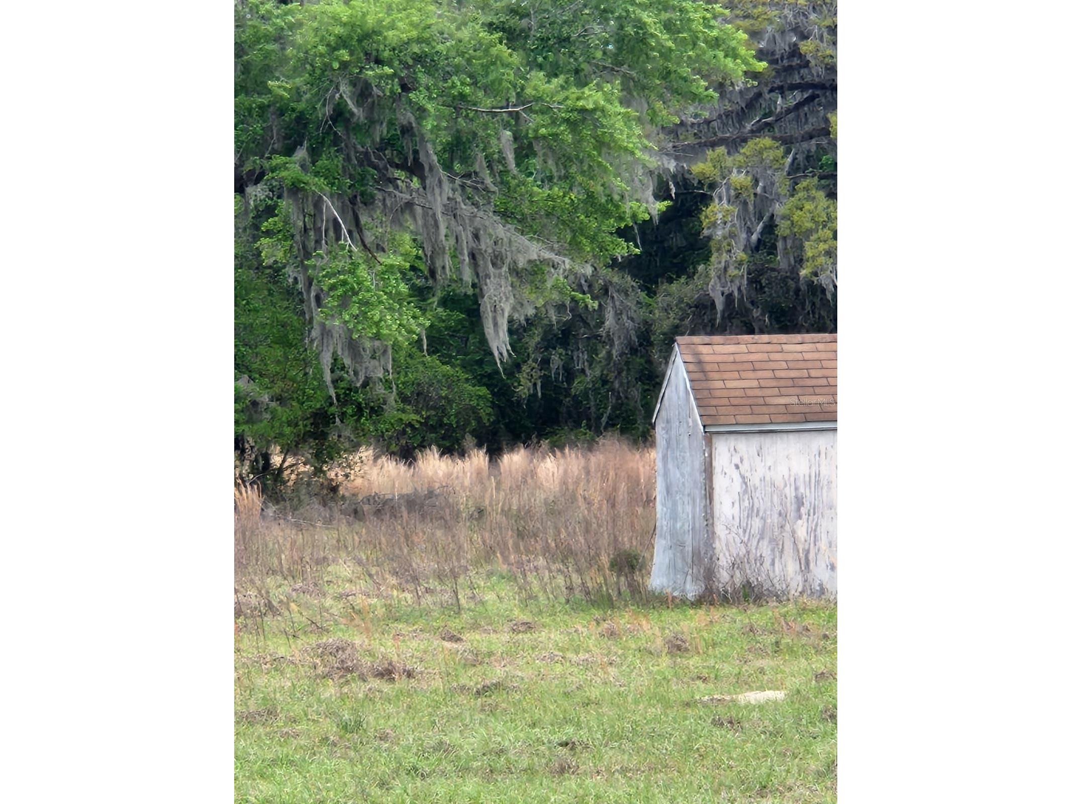 16295 SE 95th Trail White Springs FL 32096 S5148772 image6