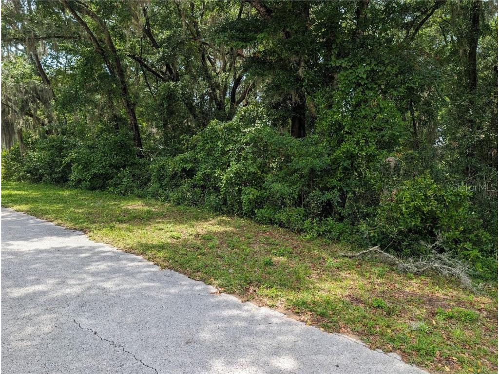 163 & 164 SW Shorewood Drive Dunnellon FL 34431 OM678880 image1