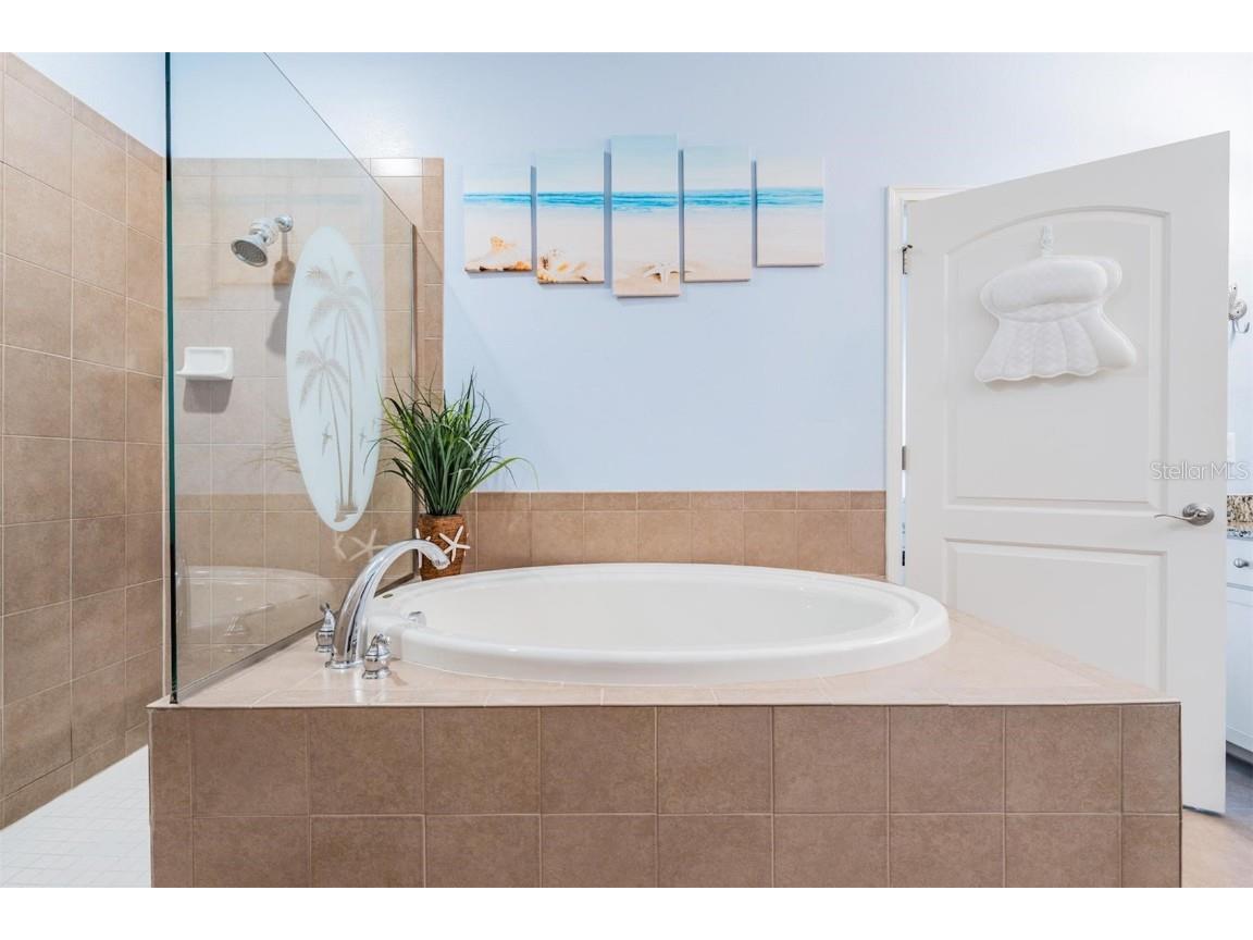 163 Athenian Way Tarpon Springs FL 34689 TB8431306 image22