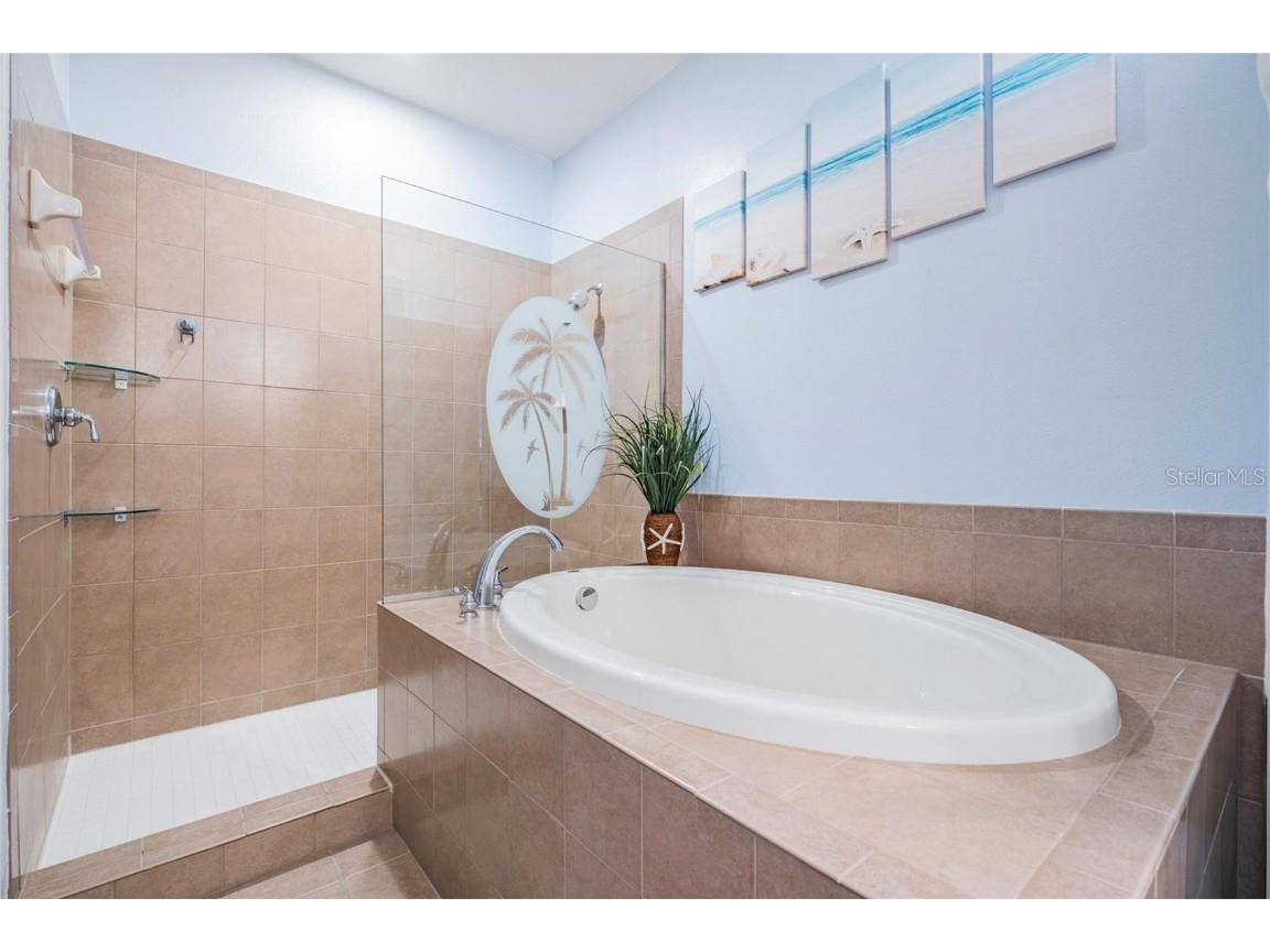 163 Athenian Way Tarpon Springs FL 34689 TB8431306 image23