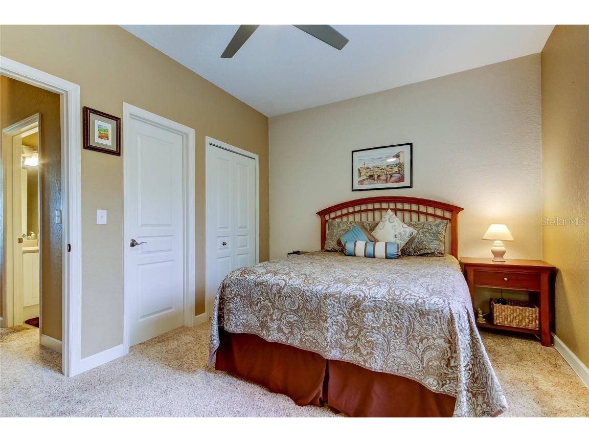 163 Brent Circle Oldsmar FL 34677 - OLD TAMPA BAY TB8401387 image11