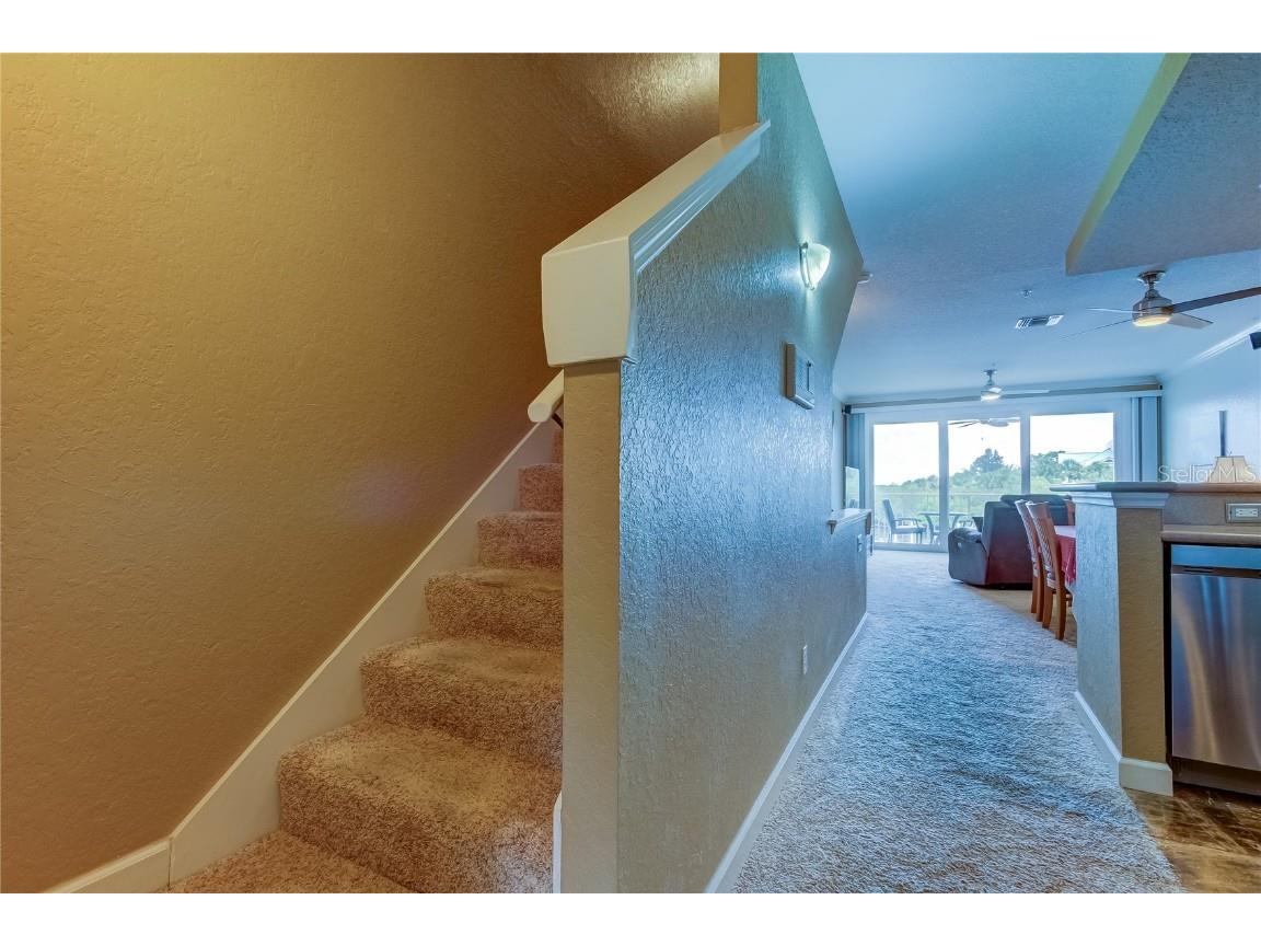 163 Brent Circle Oldsmar FL 34677 - OLD TAMPA BAY TB8401387 image13