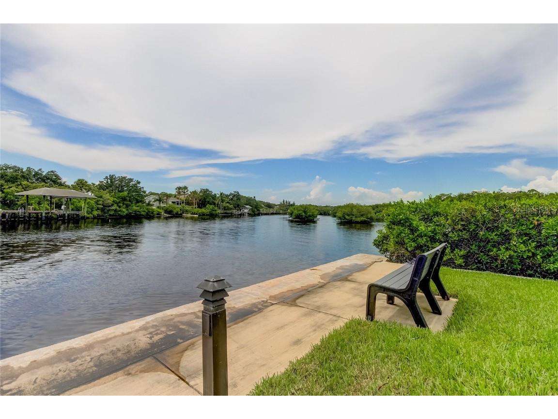 163 Brent Circle Oldsmar FL 34677 - OLD TAMPA BAY TB8401387 image37